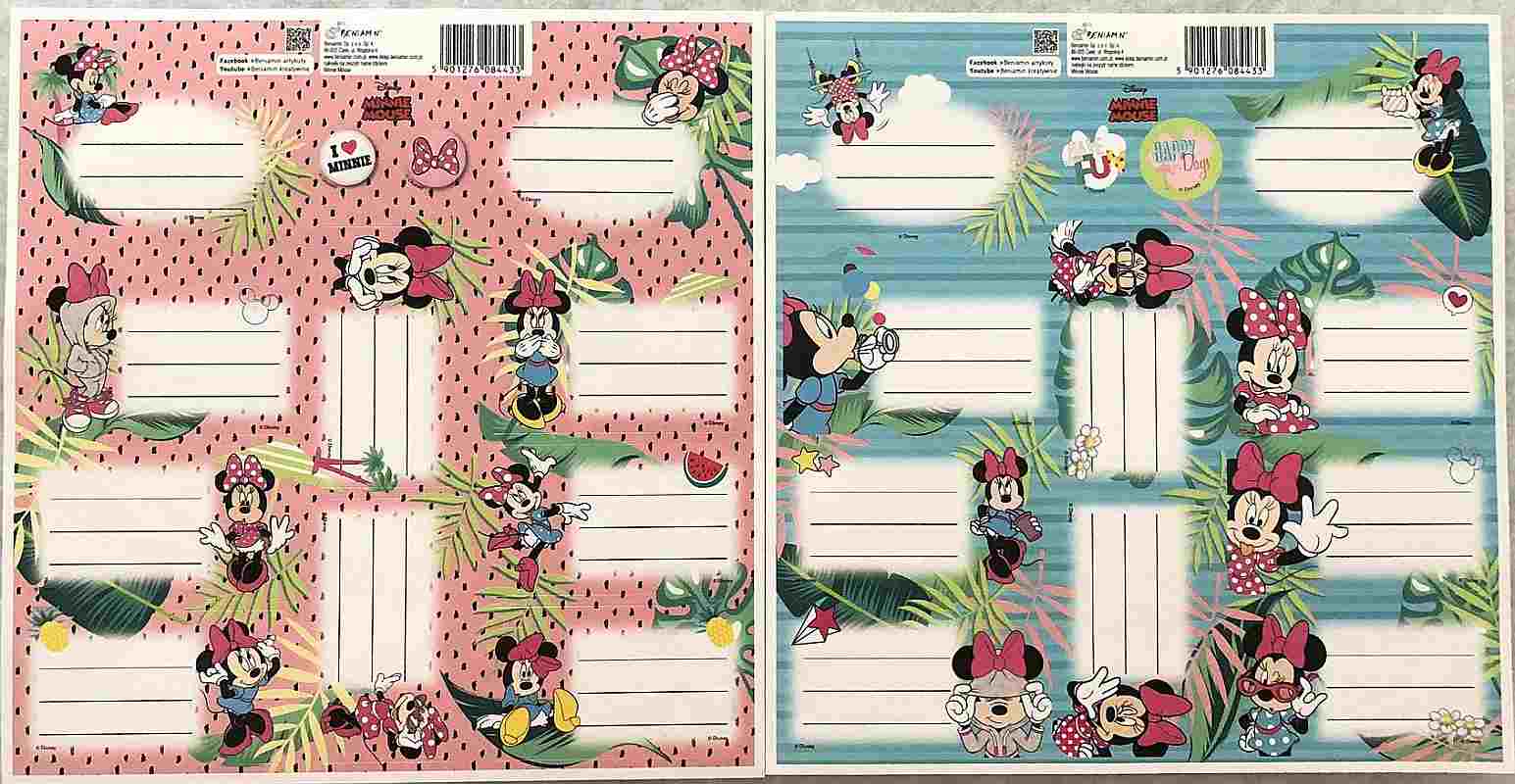 Jmenovky Minnie 20 ks