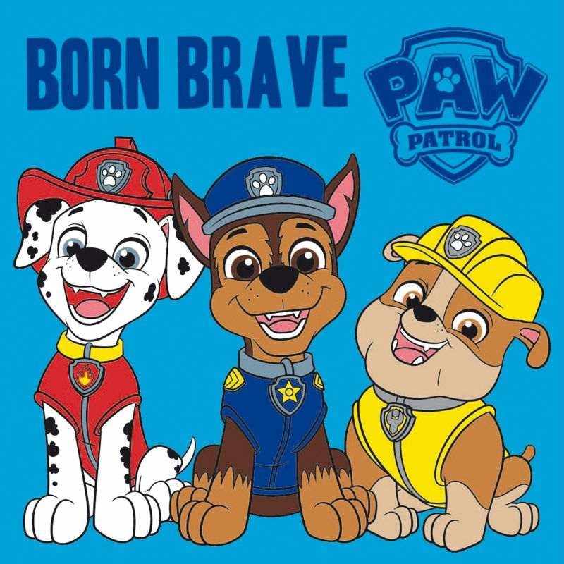 Magický ručníček Paw Patrol Brave 30/30