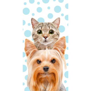 Osuška Kočka a pes přátelé